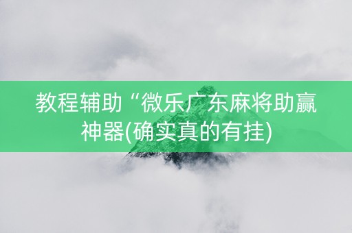 教程辅助“微乐广东麻将助赢神器(确实真的有挂)