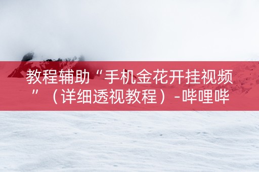 教程辅助“手机金花开挂视频”（详细透视教程）-哔哩哔哩