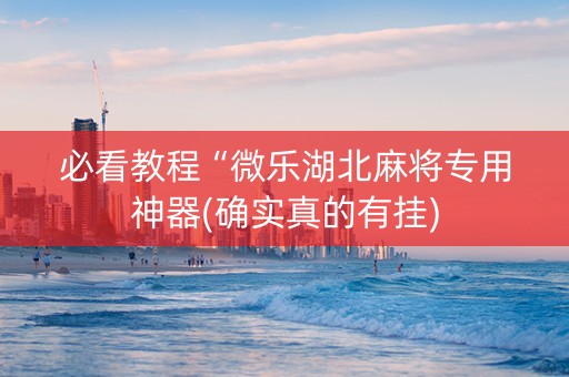 必看教程“微乐湖北麻将专用神器(确实真的有挂)