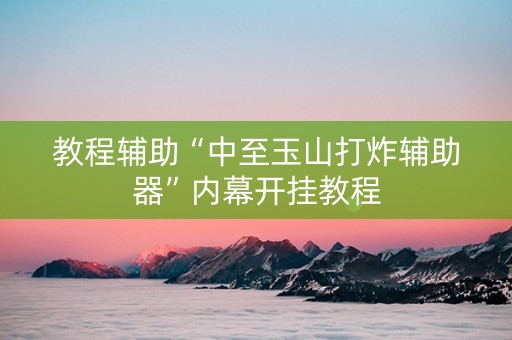 教程辅助“中至玉山打炸辅助器”内幕开挂教程