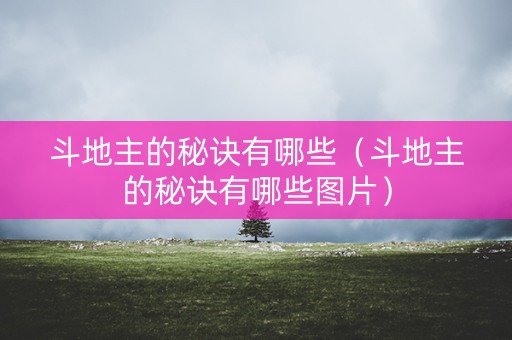 斗地主的秘诀有哪些（斗地主的秘诀有哪些图片）