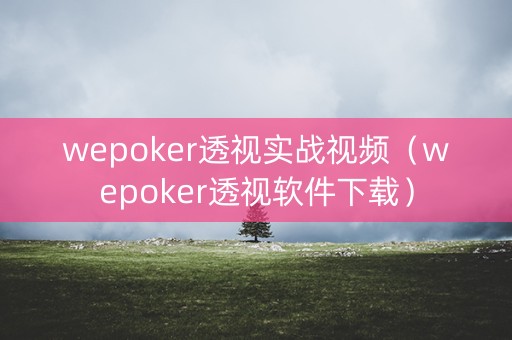 wepoker透视实战视频（wepoker透视软件下载）