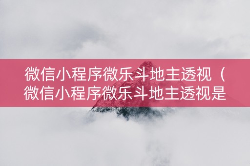 微信小程序微乐斗地主透视（微信小程序微乐斗地主透视是真的吗）