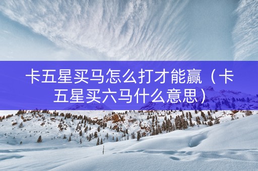 卡五星买马怎么打才能赢（卡五星买六马什么意思）