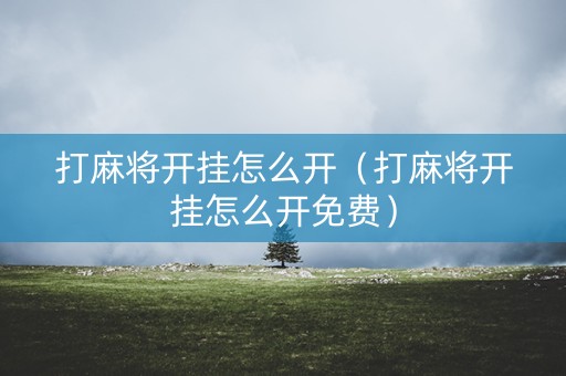 打麻将开挂怎么开（打麻将开挂怎么开免费）