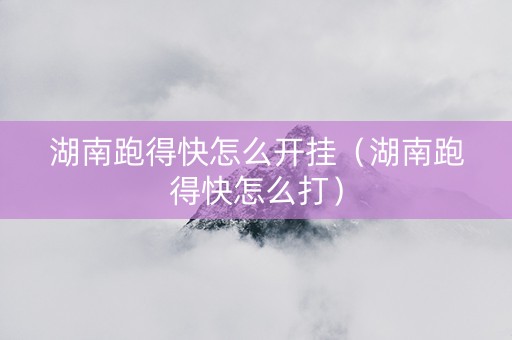 湖南跑得快怎么开挂（湖南跑得快怎么打）