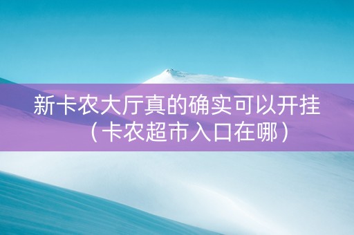 新卡农大厅真的确实可以开挂（卡农超市入口在哪）