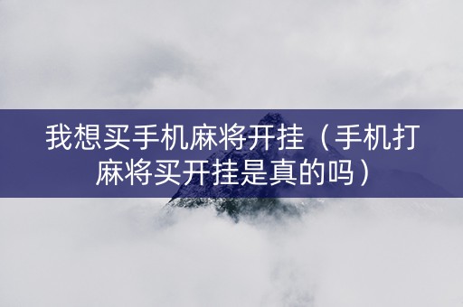 我想买手机麻将开挂（手机打麻将买开挂是真的吗）