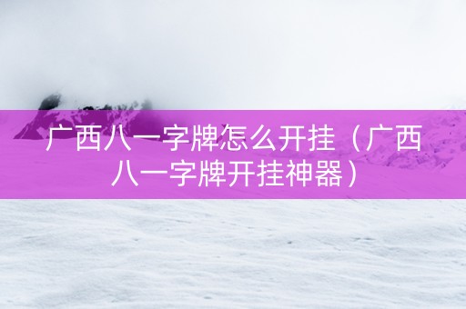 广西八一字牌怎么开挂（广西八一字牌开挂神器）