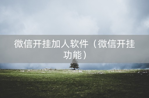微信开挂加人软件（微信开挂功能）