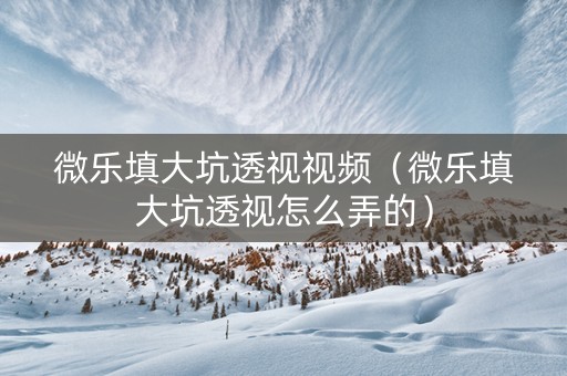 微乐填大坑透视视频（微乐填大坑透视怎么弄的）