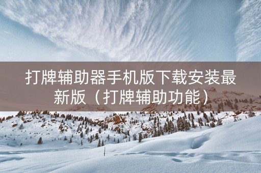 打牌辅助器手机版下载安装最新版（打牌辅助功能）