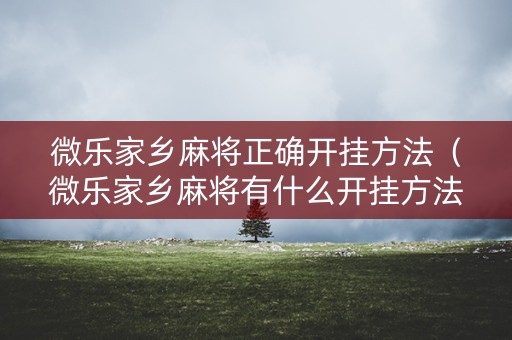 微乐家乡麻将正确开挂方法（微乐家乡麻将有什么开挂方法）