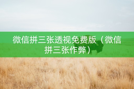 微信拼三张透视免费版（微信拼三张作弊）