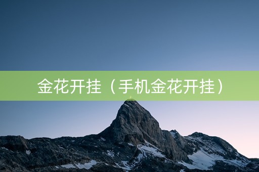 金花开挂（手机金花开挂）