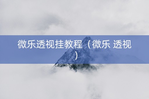 微乐透视挂教程（微乐 透视）