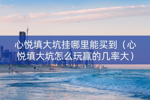 心悦填大坑挂哪里能买到（心悦填大坑怎么玩赢的几率大）