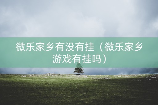 微乐家乡有没有挂（微乐家乡游戏有挂吗）