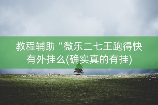 教程辅助“微乐二七王跑得快有外挂么(确实真的有挂)