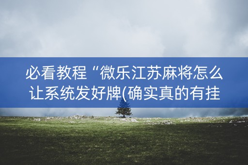 必看教程“微乐江苏麻将怎么让系统发好牌(确实真的有挂)