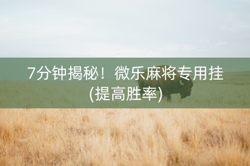 7分钟揭秘！微乐麻将专用挂(提高胜率)