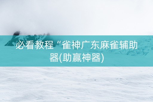 必看教程“雀神广东麻雀辅助器(助赢神器)