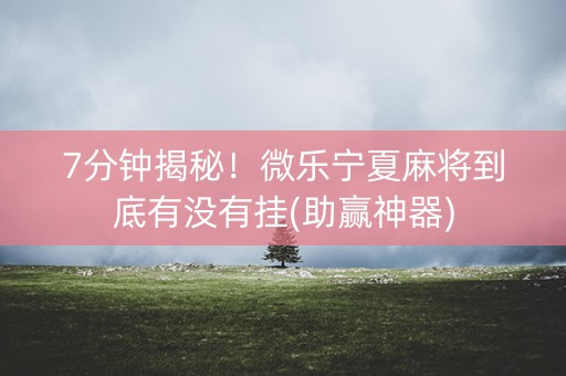 7分钟揭秘！微乐宁夏麻将到底有没有挂(助赢神器)