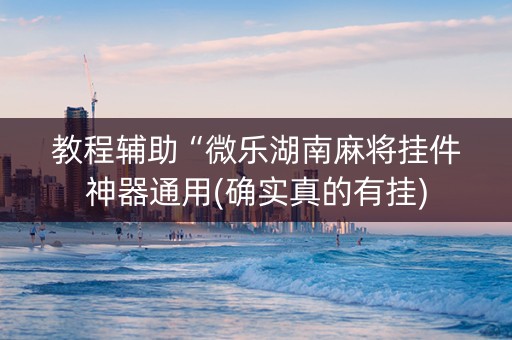 教程辅助“微乐湖南麻将挂件神器通用(确实真的有挂)