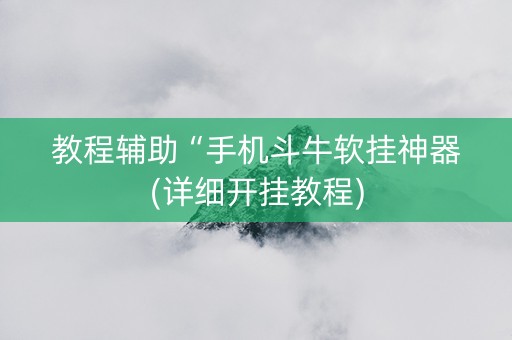 教程辅助“手机斗牛软挂神器(详细开挂教程)