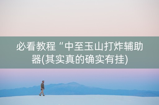 必看教程“中至玉山打炸辅助器(其实真的确实有挂)