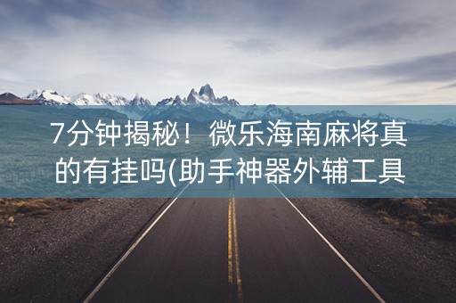 7分钟揭秘！微乐海南麻将真的有挂吗(助手神器外辅工具)