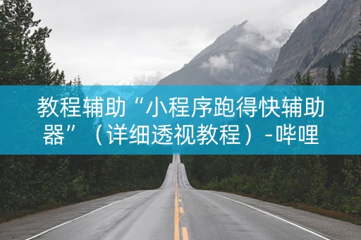 教程辅助“小程序跑得快辅助器”（详细透视教程）-哔哩哔哩