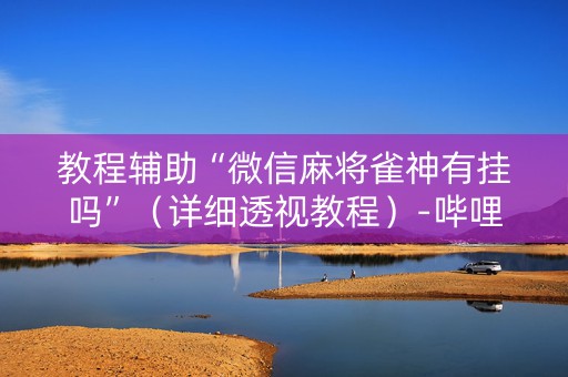 教程辅助“微信麻将雀神有挂吗”（详细透视教程）-哔哩哔哩
