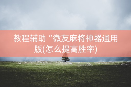 教程辅助“微友麻将神器通用版(怎么提高胜率)