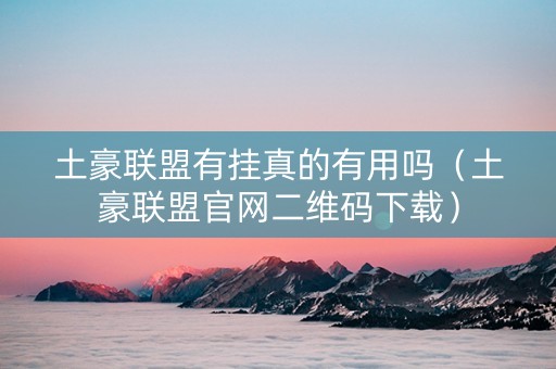 土豪联盟有挂真的有用吗（土豪联盟官网二维码下载）