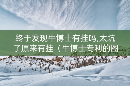 终于发现牛博士有挂吗,太坑了原来有挂（牛博士专利的图片）