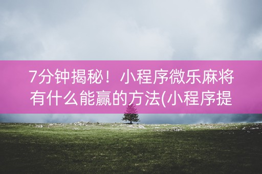 7分钟揭秘！小程序微乐麻将有什么能赢的方法(小程序提高胜率)