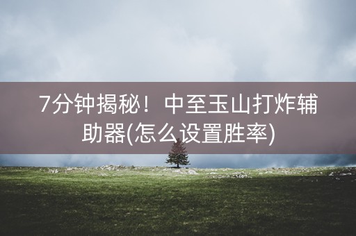 7分钟揭秘！中至玉山打炸辅助器(怎么设置胜率)
