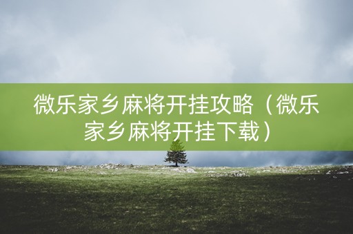 微乐家乡麻将开挂攻略（微乐家乡麻将开挂下载）
