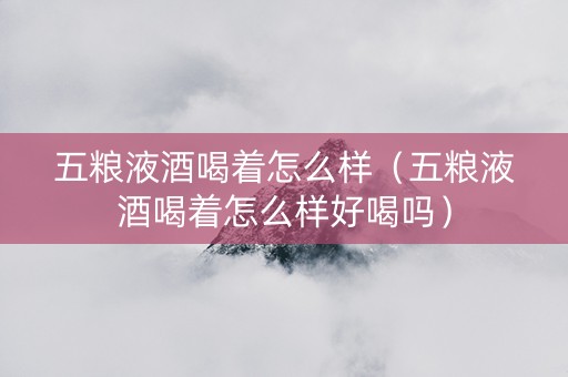 五粮液酒喝着怎么样（五粮液酒喝着怎么样好喝吗）