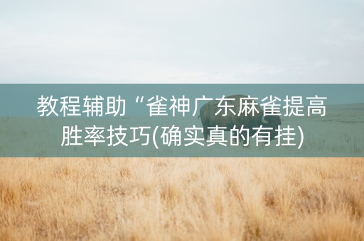 教程辅助“雀神广东麻雀提高胜率技巧(确实真的有挂)