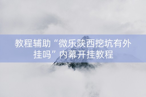 教程辅助“微乐陕西挖坑有外挂吗”内幕开挂教程