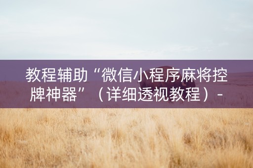 教程辅助“微信小程序麻将控牌神器”（详细透视教程）-哔哩哔哩