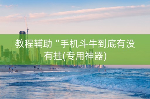 教程辅助“手机斗牛到底有没有挂(专用神器)