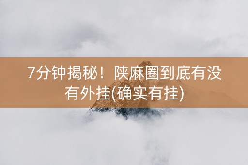 7分钟揭秘！陕麻圈到底有没有外挂(确实有挂)