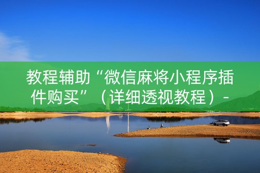 教程辅助“微信麻将小程序插件购买”（详细透视教程）-哔哩哔哩