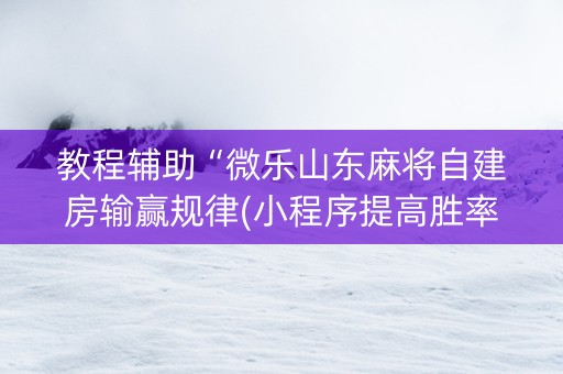 教程辅助“微乐山东麻将自建房输赢规律(小程序提高胜率)