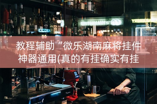 教程辅助“微乐湖南麻将挂件神器通用(真的有挂确实有挂)