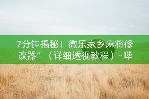 7分钟揭秘！微乐家乡麻将修改器”（详细透视教程）-哔哩哔哩