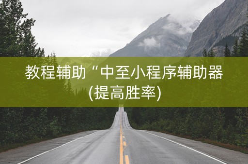 教程辅助“中至小程序辅助器(提高胜率)